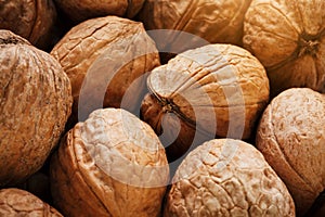 Natural Walnuts in shell background dramatic contrast