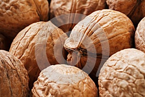 Natural Walnuts in shell background dramatic contrast