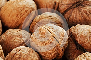 Natural Walnuts in shell background dramatic contrast