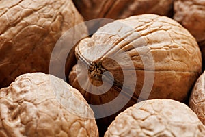 Natural Walnuts in shell background dramatic contrast