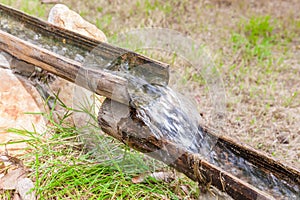 Natural water flowing into bamboo pipes.