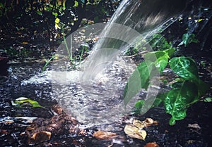 natural water fountain in garden