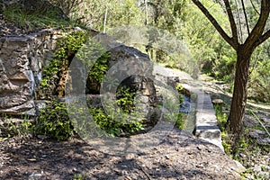 natural water fountain with moss and lichens in a mountainous setting