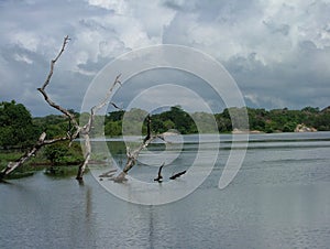Natural Water Pools, Sri Lanka Ramsar Wetlands