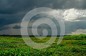 Natural water reservoir. Water sustainability. Landscape of green grass field and overcast sky. Fresh water for human consumption