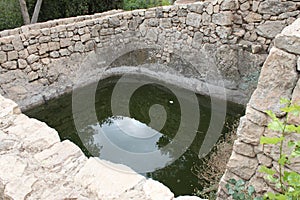 Natural Water Spring Pool at Sataf, Ancient Agriculture Site and Nature Reserve, Israel