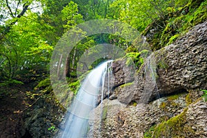 Waterfall in a Bavarian forest