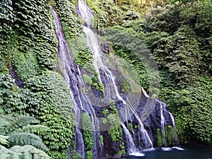 Natural Waterfall at Buleleng Forrest