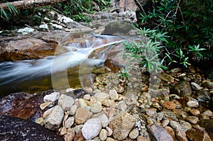 Natural Waterfall at Gunung Stong  state park Kelantan  Malaysia.