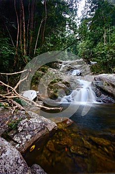 Natural Waterfall at Gunung Stong  state park Kelantan  Malaysia.