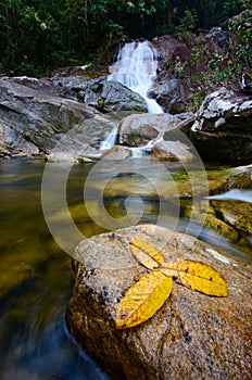 Natural Waterfall at Gunung Stong  state park Kelantan  Malaysia.