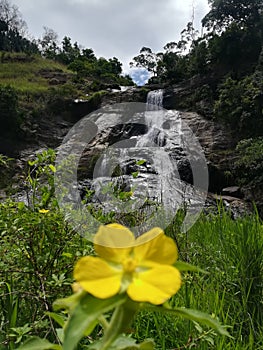 Natural waterfall of sri lanka.