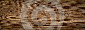 Natural weathered old elm wood board texture background.  Elm texture. photo