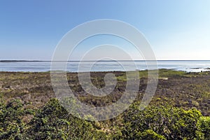 Natural Wetland Vegetation at Lake St Lucia South Africa