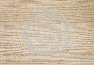 Natural white ash wood - Stock Image