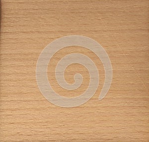 Natural White beech wood texture background. White beech veneer surface for interior and exterior manufacturers use