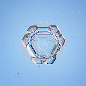 Natural white crystal snowflake macro