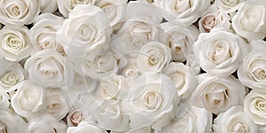 Natural white roses background