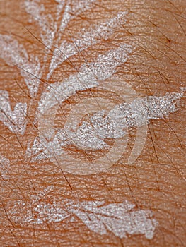 Natural white tattoo with pteridophyte leaf