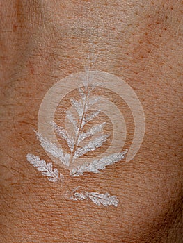 Natural white tattoo with pteridophyte leaf