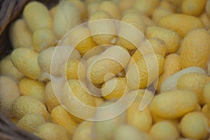 Natural white and yellow cocoon or silkworm nets.
