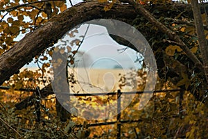 Natural window in Thornecombe Woods, Dorchester, Dorset, UK