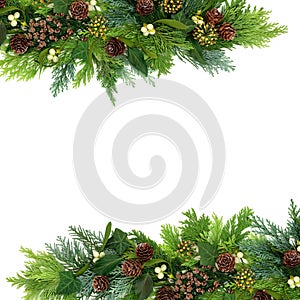 Natural Winter Greenery Background Border