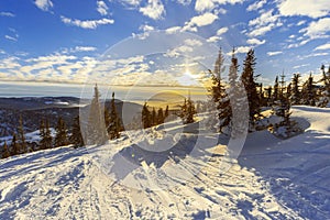 Natural Winter landscape in Sheregesh ski resort in Russia, Cold weather and sunshine, white snow slope, fir trees on