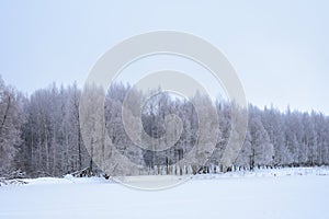 Natural winter snow frosty fog forest Park and lake. Frozen pond pond field. Cloudy