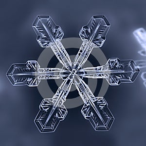 Natural winter Snowflake