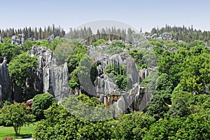 Natural wonders of China (stone forest)