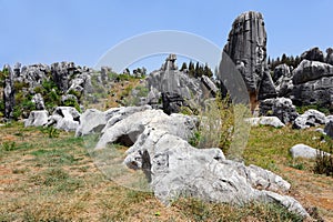 Natural wonders of China (stone forest)