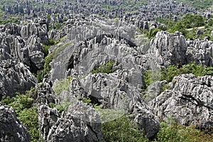 Natural wonders of China (stone forest)