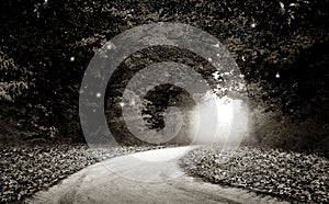 The Natural Wonders image