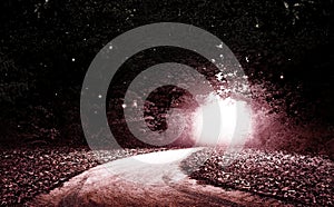 The Natural Wonders image