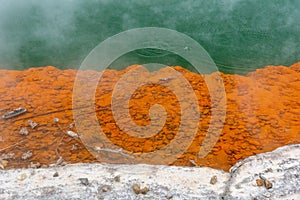 Natural wonders at Waiotapu Thermal Wonderland, New Zealand