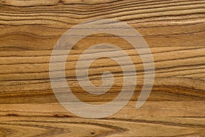 Natural wood grain texture close-up top view