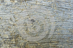 Natural wood patterns