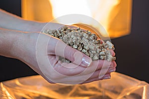 Natural wood pellet for heating in women`s hands, bio fuel