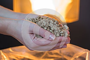 Natural wood pellet for heating in women`s hands, bio fuel photo