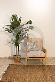 Natural wood single seater chair next to a decorative palm tree and a brown carpet photo