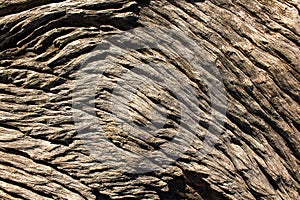 Natural wood surface,Abstract backgrounds and textures.