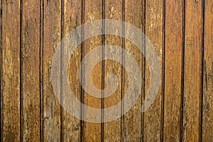 Natural wood texture for background