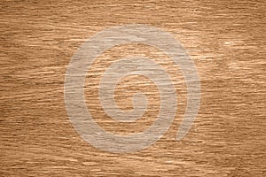 Natural wood texture background. Wooden pattern.