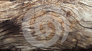 Natural wood texture, background