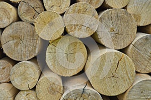 Natural wooden background - chopped firewood. Firewood stacked and prepared for winter. Pile of wood logs closeup