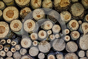 Natural wooden background, closeup of chopped firewood. Firewood stacked and prepared for winter Pile of wood logs.