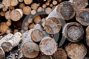 Natural wooden background - closeup of chopped firewood. Firewood stacked and prepared for winter Pile of wood logs