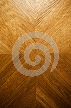 Natural wooden background. Surface made of wood plank, natural floor