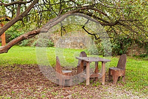 Natural wooden chairs and table in the backyard